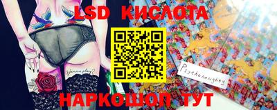 крисы Абакан