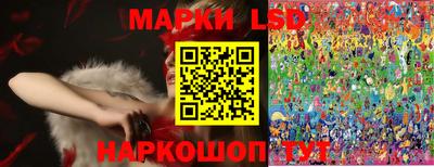 крисы Абакан