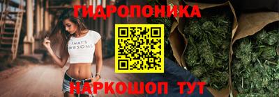 крисы Абакан