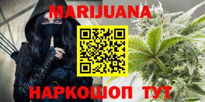 крисы Абакан