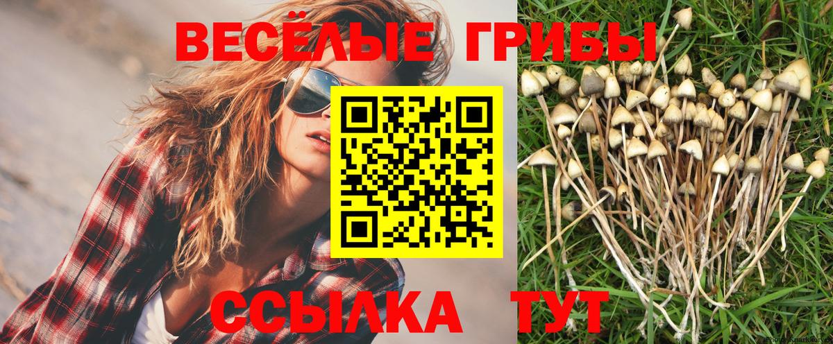 Альметьевск  Псилоцибиновые грибы Magic Shrooms  Галлюциногенные грибы мухоморы  Вход с VPN 